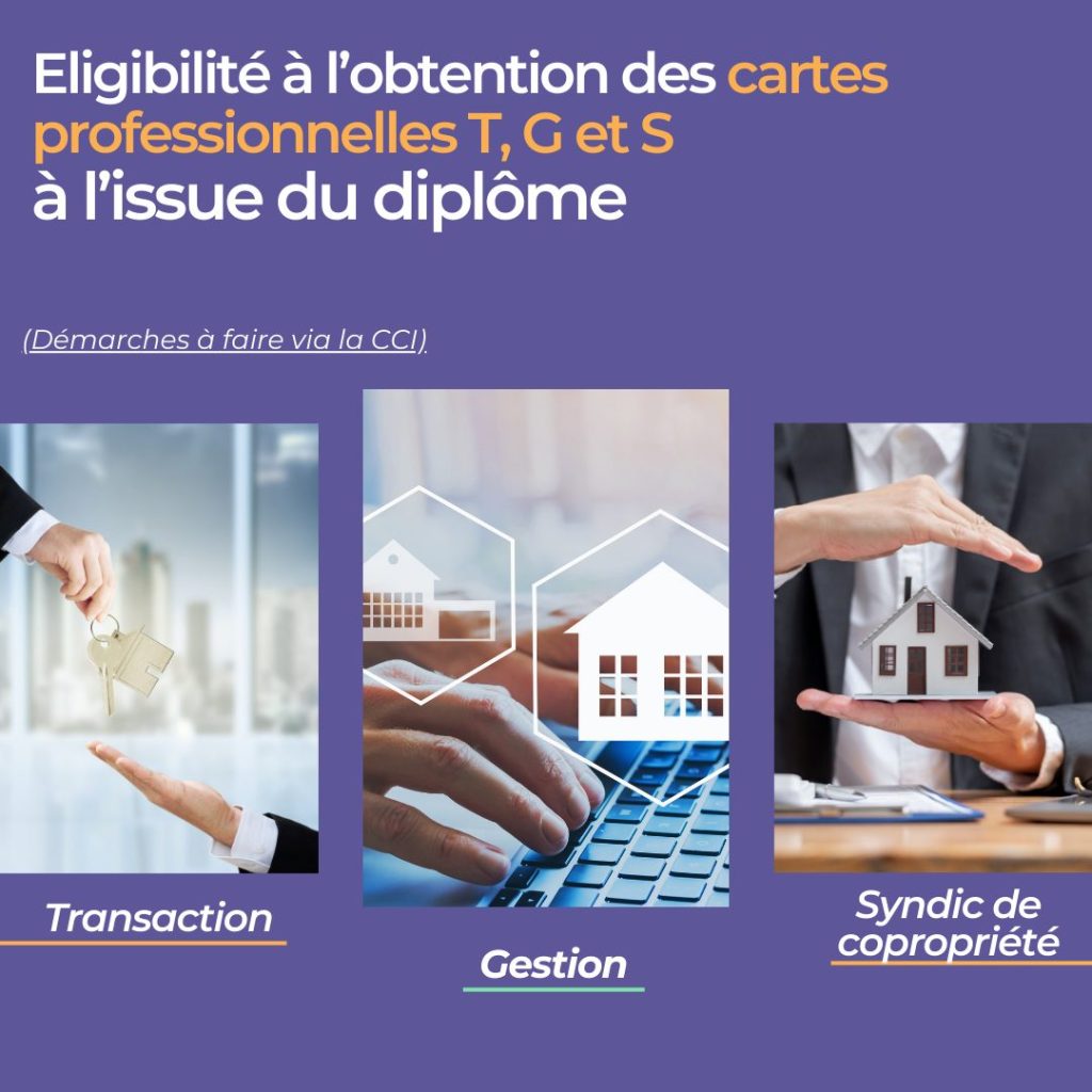 Eligibilité à l’obtention des cartes professionnelles T, G et S à l’issue du diplôme immobilier en alternance